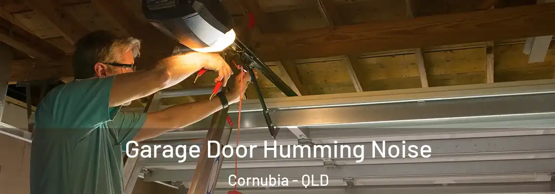 Garage Door Humming Noise Cornubia - QLD