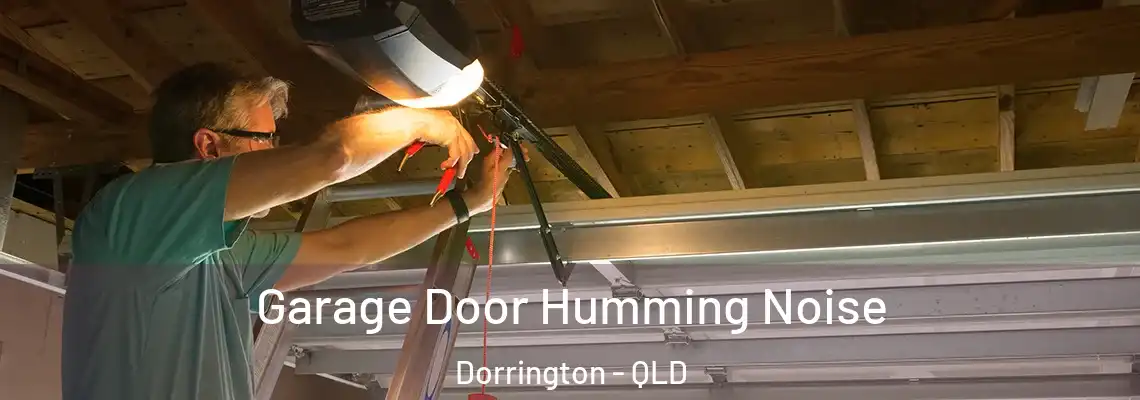  Garage Door Humming Noise Dorrington - QLD