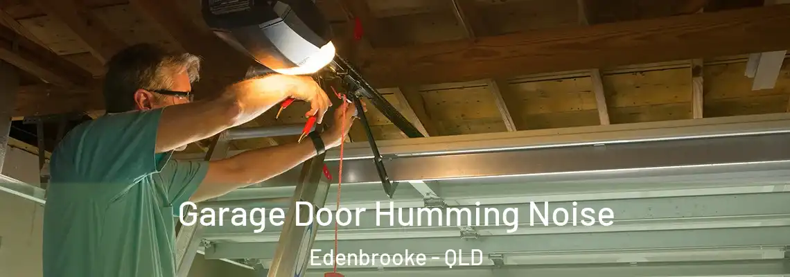  Garage Door Humming Noise Edenbrooke - QLD