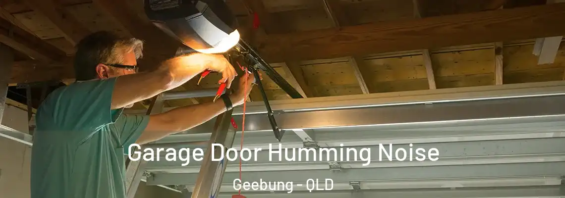 Garage Door Humming Noise Geebung - QLD