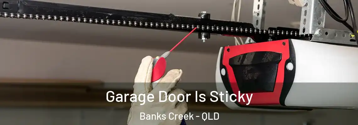 Garage Door Is Sticky Banks Creek - QLD