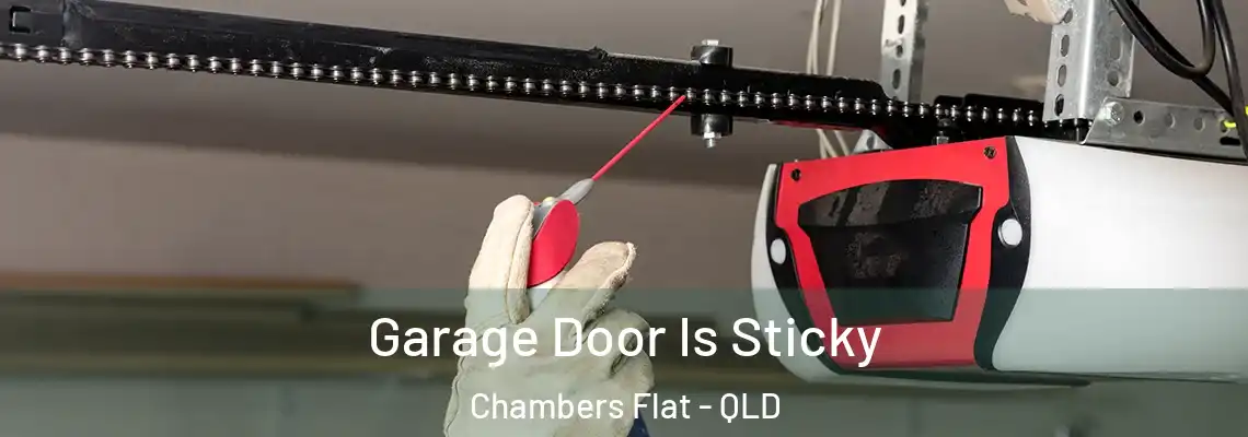 Garage Door Is Sticky Chambers Flat - QLD