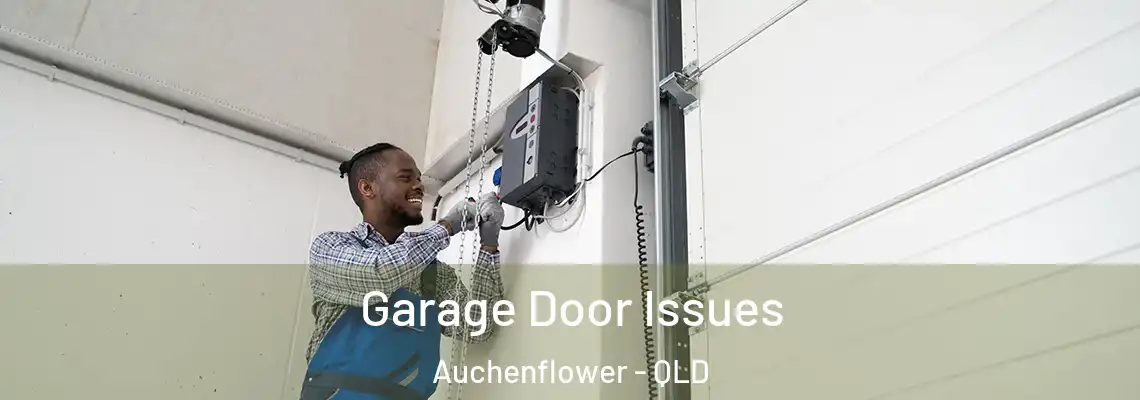 Garage Door Issues Auchenflower - QLD