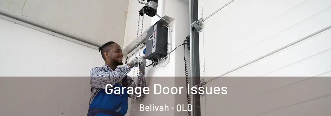 Garage Door Issues Belivah - QLD