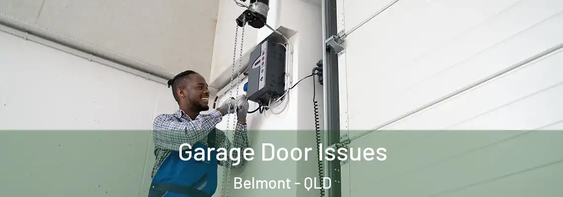  Garage Door Issues Belmont - QLD