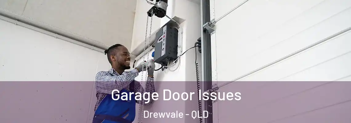 Garage Door Issues Drewvale - QLD