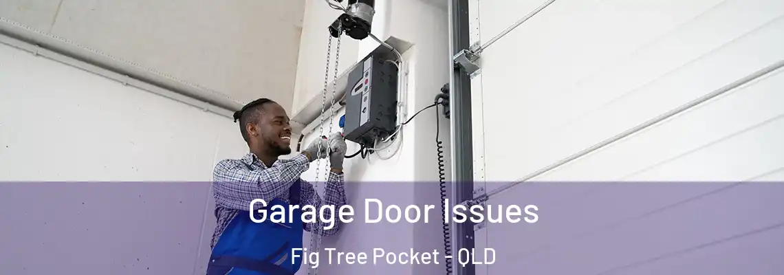  Garage Door Issues Fig Tree Pocket - QLD