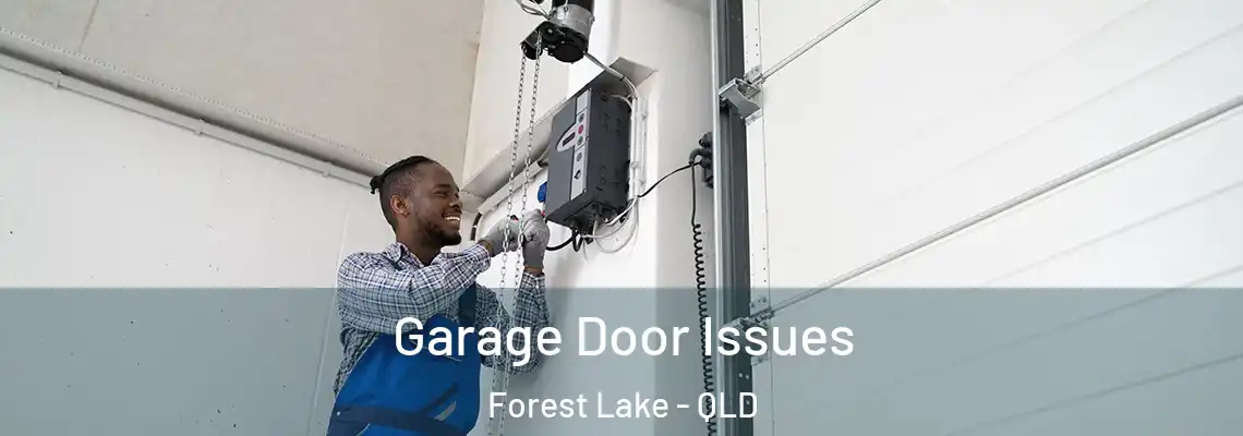 Garage Door Issues Forest Lake - QLD