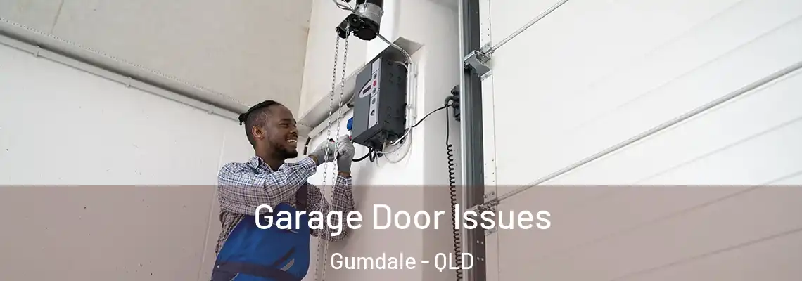 Garage Door Issues Gumdale - QLD