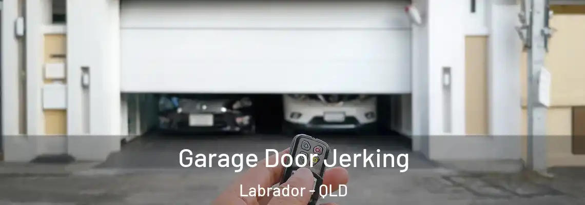 Garage Door Jerking Labrador - QLD