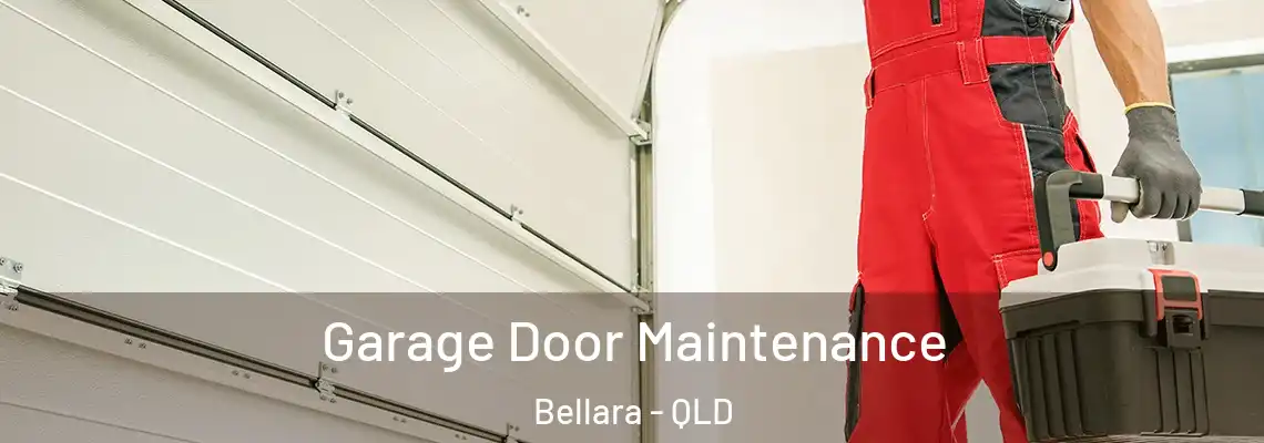  Garage Door Maintenance Bellara - QLD