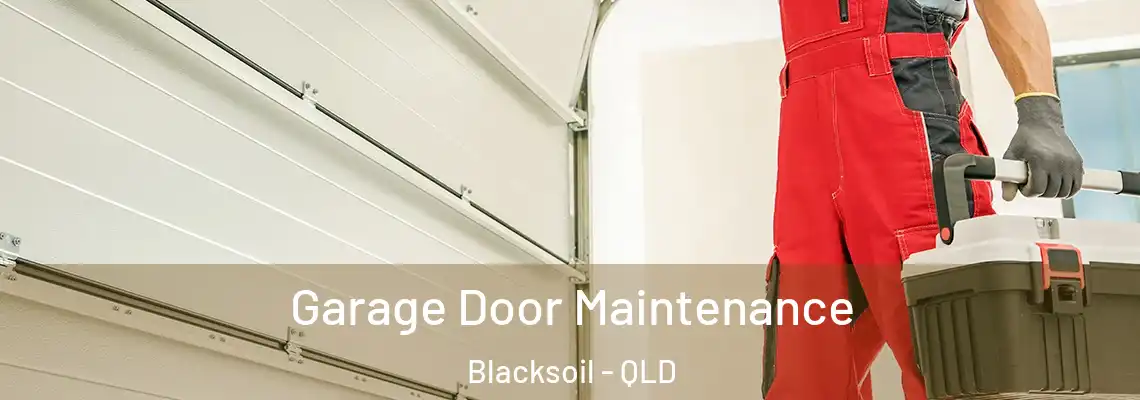  Garage Door Maintenance Blacksoil - QLD