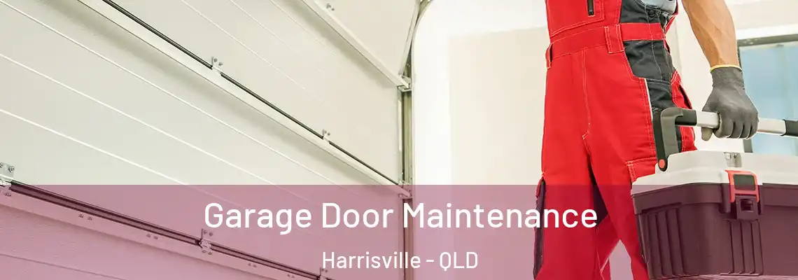  Garage Door Maintenance Harrisville - QLD