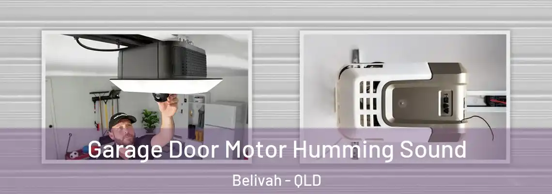  Garage Door Motor Humming Sound Belivah - QLD