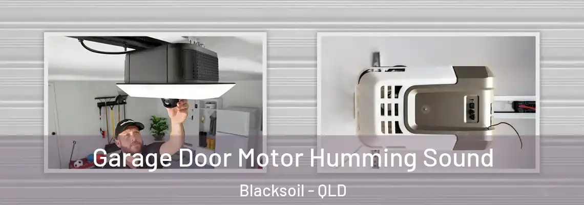 Garage Door Motor Humming Sound Blacksoil - QLD
