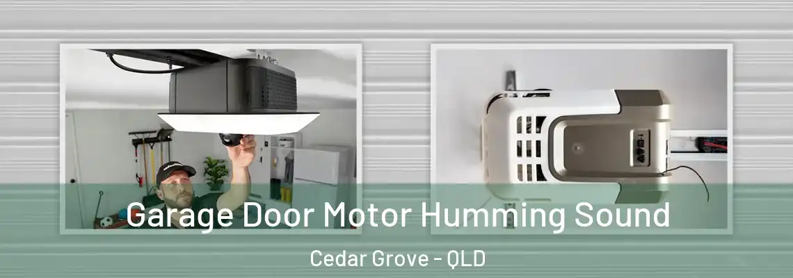 Garage Door Motor Humming Sound Cedar Grove - QLD