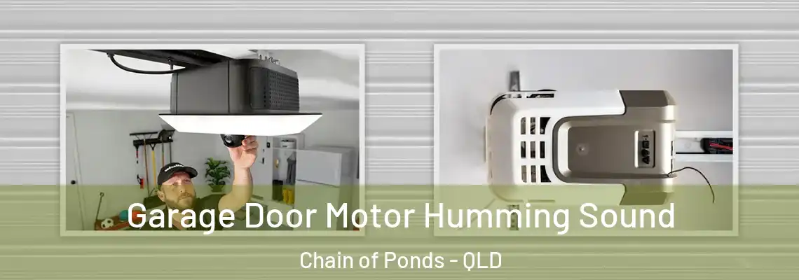 Garage Door Motor Humming Sound Chain of Ponds - QLD