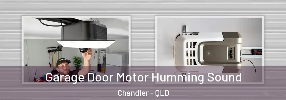  Garage Door Motor Humming Sound Chandler - QLD