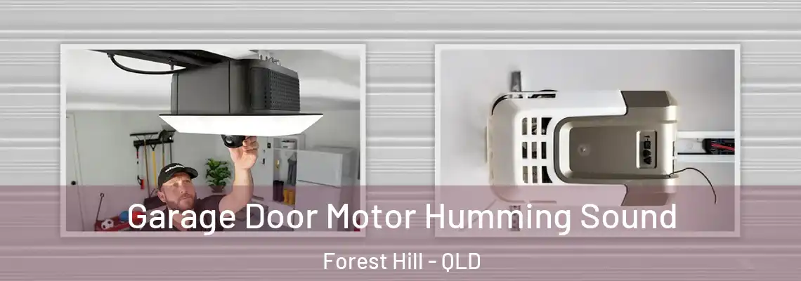 Garage Door Motor Humming Sound Forest Hill - QLD