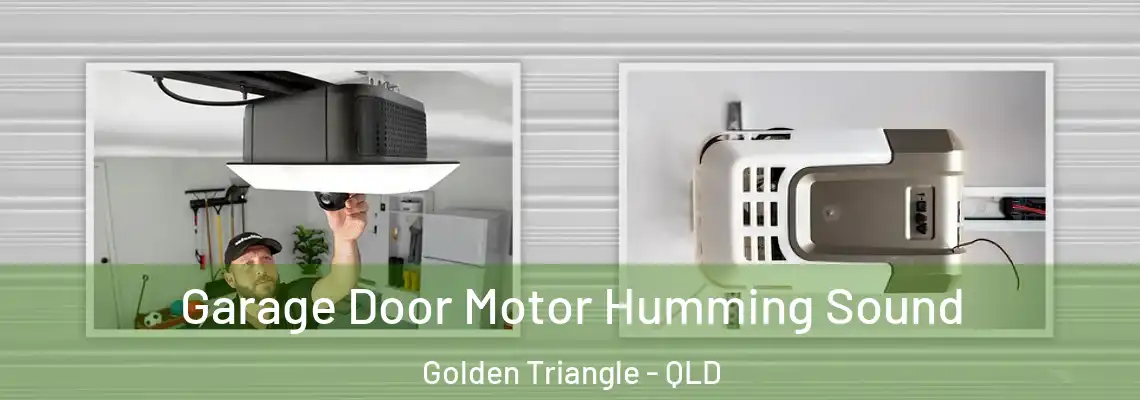 Garage Door Motor Humming Sound Golden Triangle - QLD
