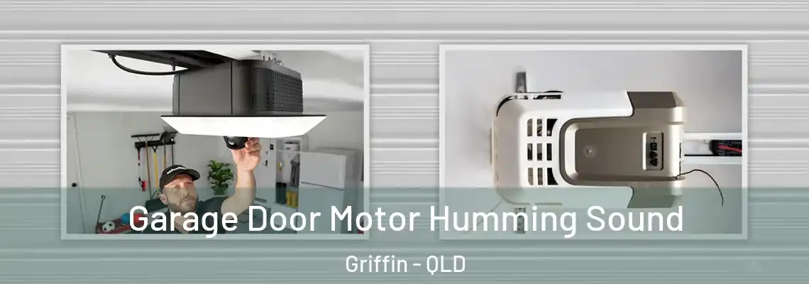 Garage Door Motor Humming Sound Griffin - QLD