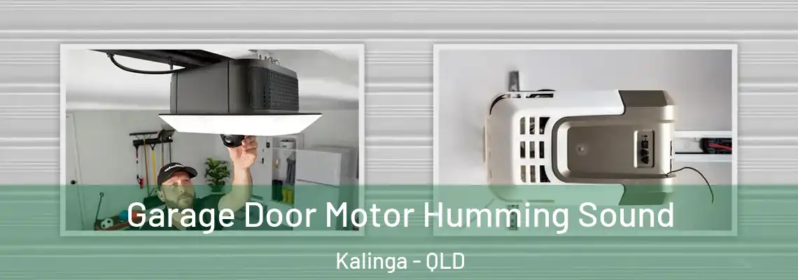 Garage Door Motor Humming Sound Kalinga - QLD