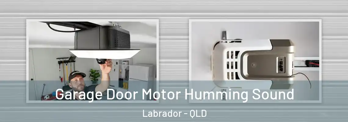  Garage Door Motor Humming Sound Labrador - QLD