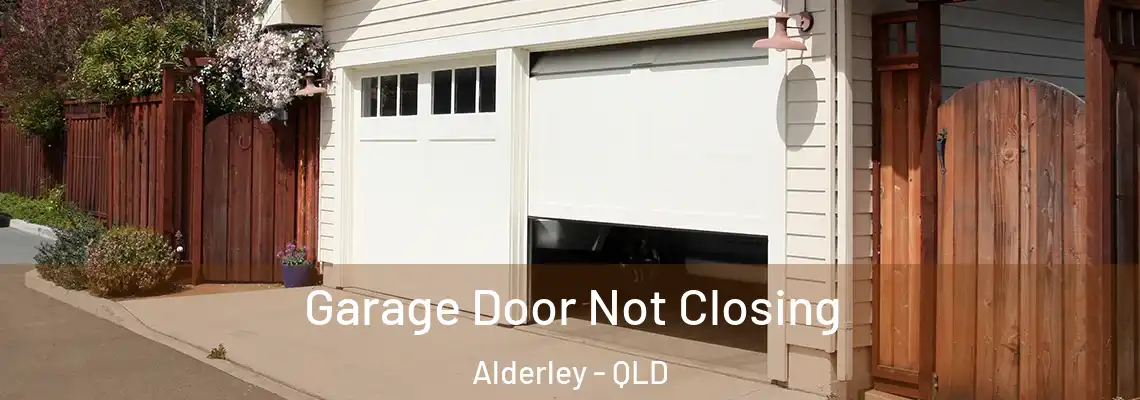  Garage Door Not Closing Alderley - QLD