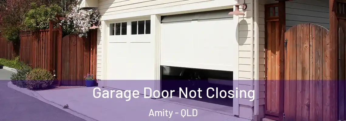 Garage Door Not Closing Amity - QLD