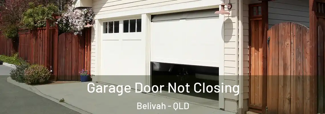 Garage Door Not Closing Belivah - QLD