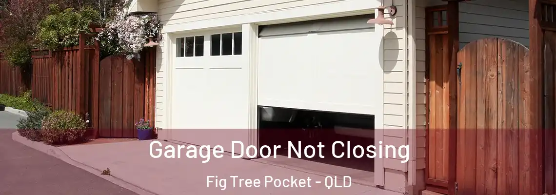 Garage Door Not Closing Fig Tree Pocket - QLD