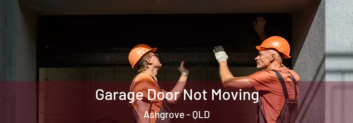  Garage Door Not Moving Ashgrove - QLD