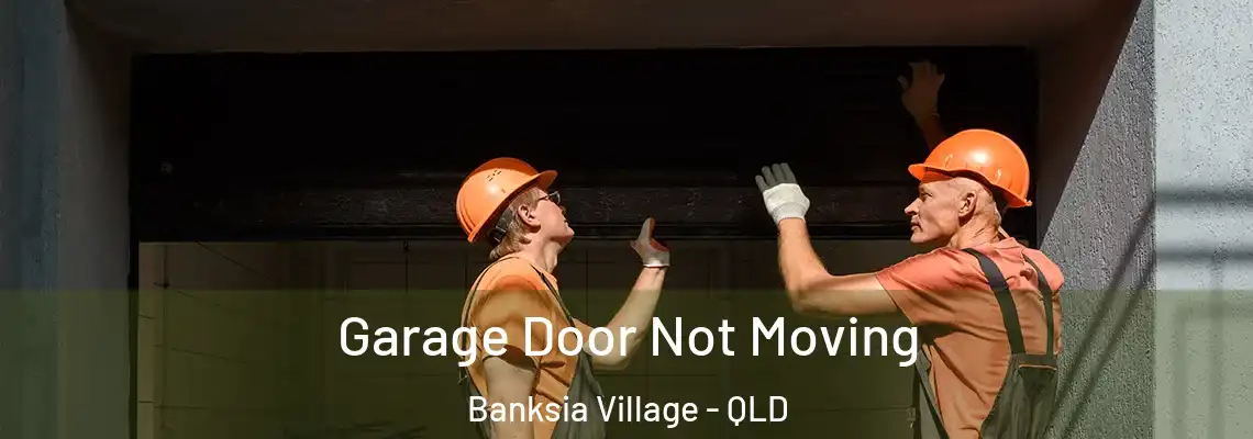  Garage Door Not Moving Banksia Village - QLD