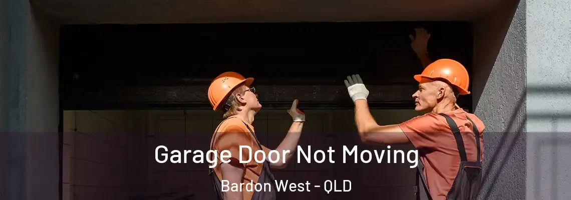  Garage Door Not Moving Bardon West - QLD