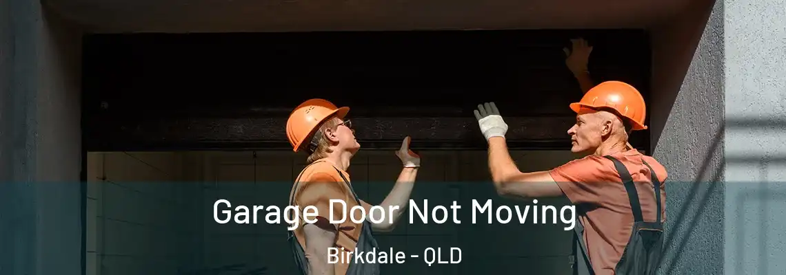  Garage Door Not Moving Birkdale - QLD