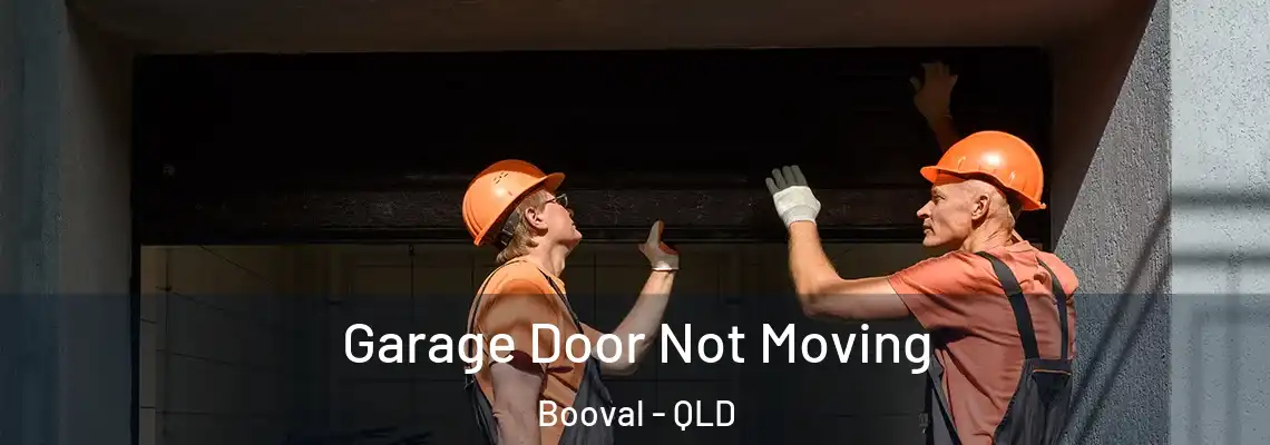 Garage Door Not Moving Booval - QLD
