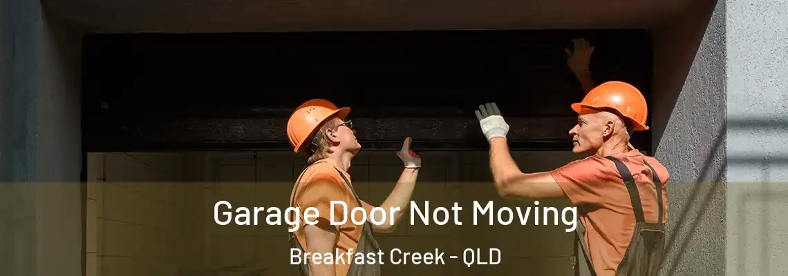 Garage Door Not Moving Breakfast Creek - QLD