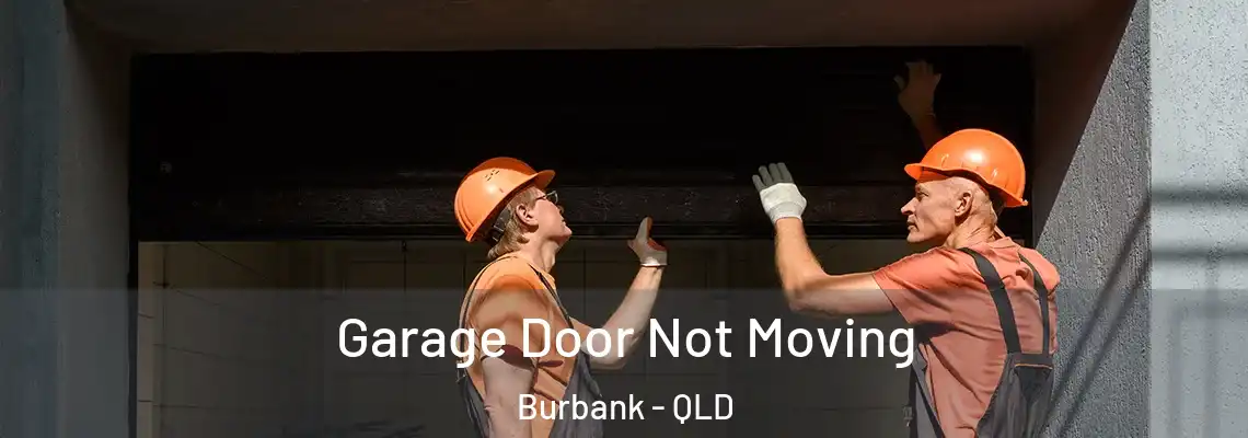 Garage Door Not Moving Burbank - QLD