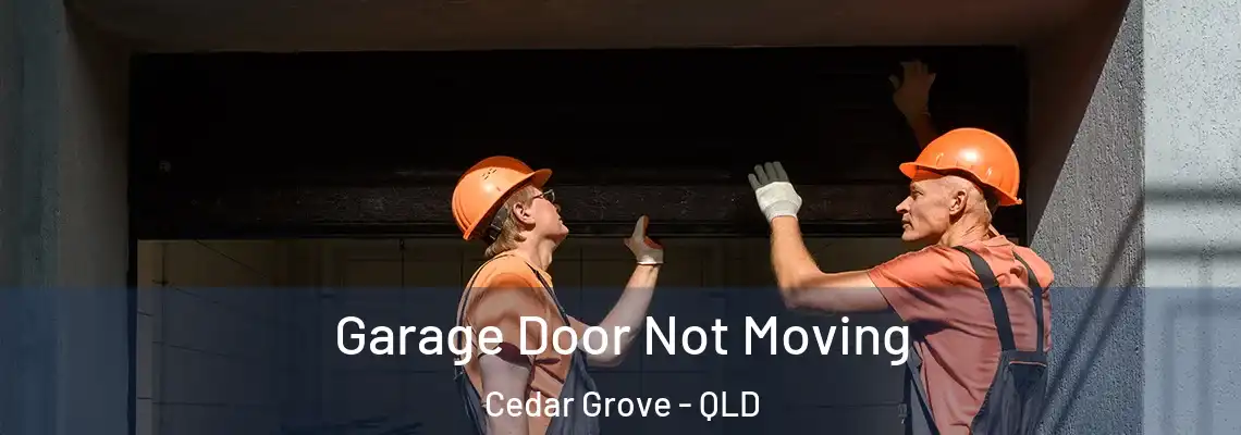  Garage Door Not Moving Cedar Grove - QLD