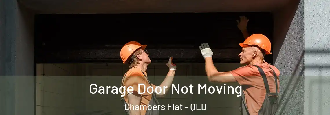Garage Door Not Moving Chambers Flat - QLD