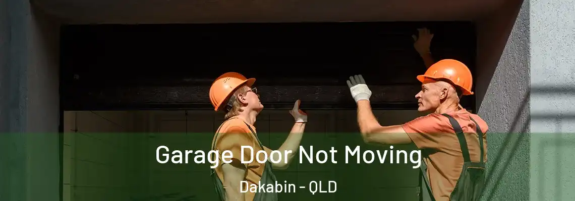 Garage Door Not Moving Dakabin - QLD