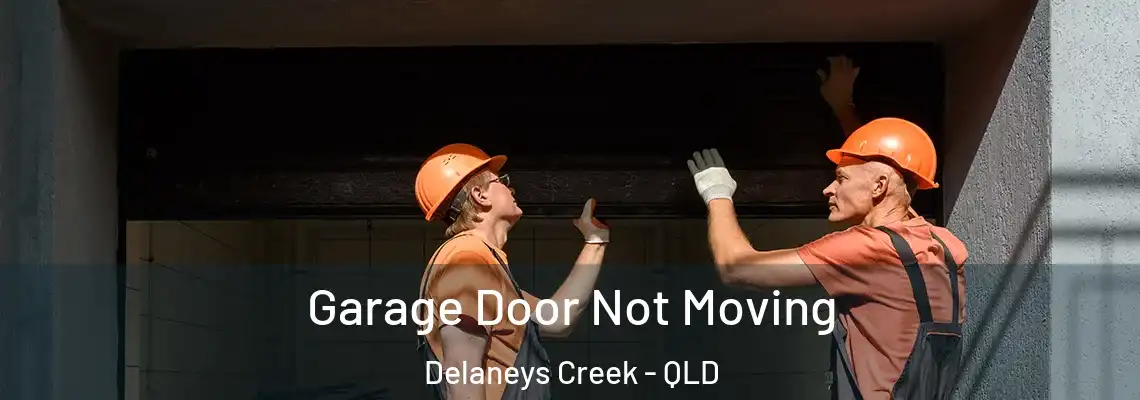 Garage Door Not Moving Delaneys Creek - QLD