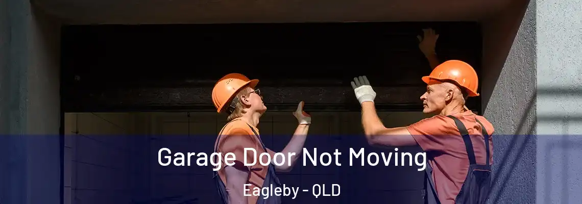  Garage Door Not Moving Eagleby - QLD