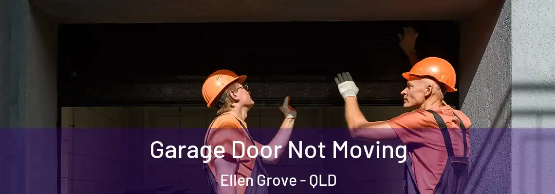  Garage Door Not Moving Ellen Grove - QLD