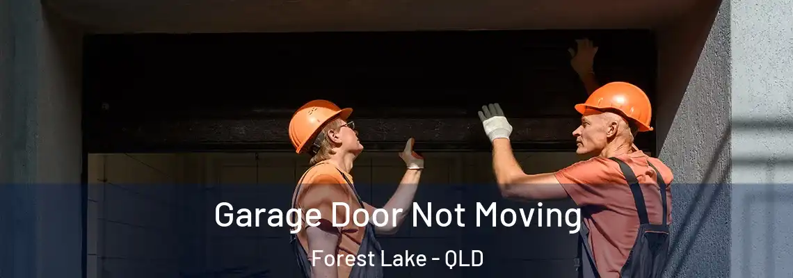  Garage Door Not Moving Forest Lake - QLD