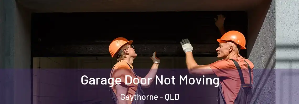  Garage Door Not Moving Gaythorne - QLD