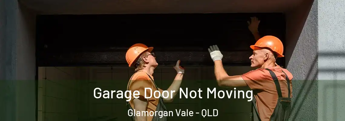  Garage Door Not Moving Glamorgan Vale - QLD