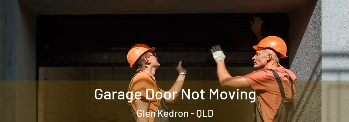  Garage Door Not Moving Glen Kedron - QLD