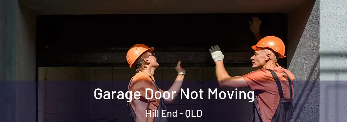  Garage Door Not Moving Hill End - QLD