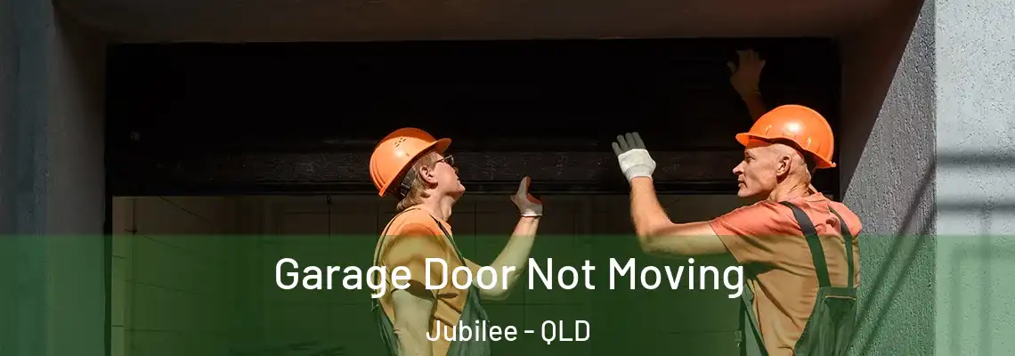 Garage Door Not Moving Jubilee - QLD